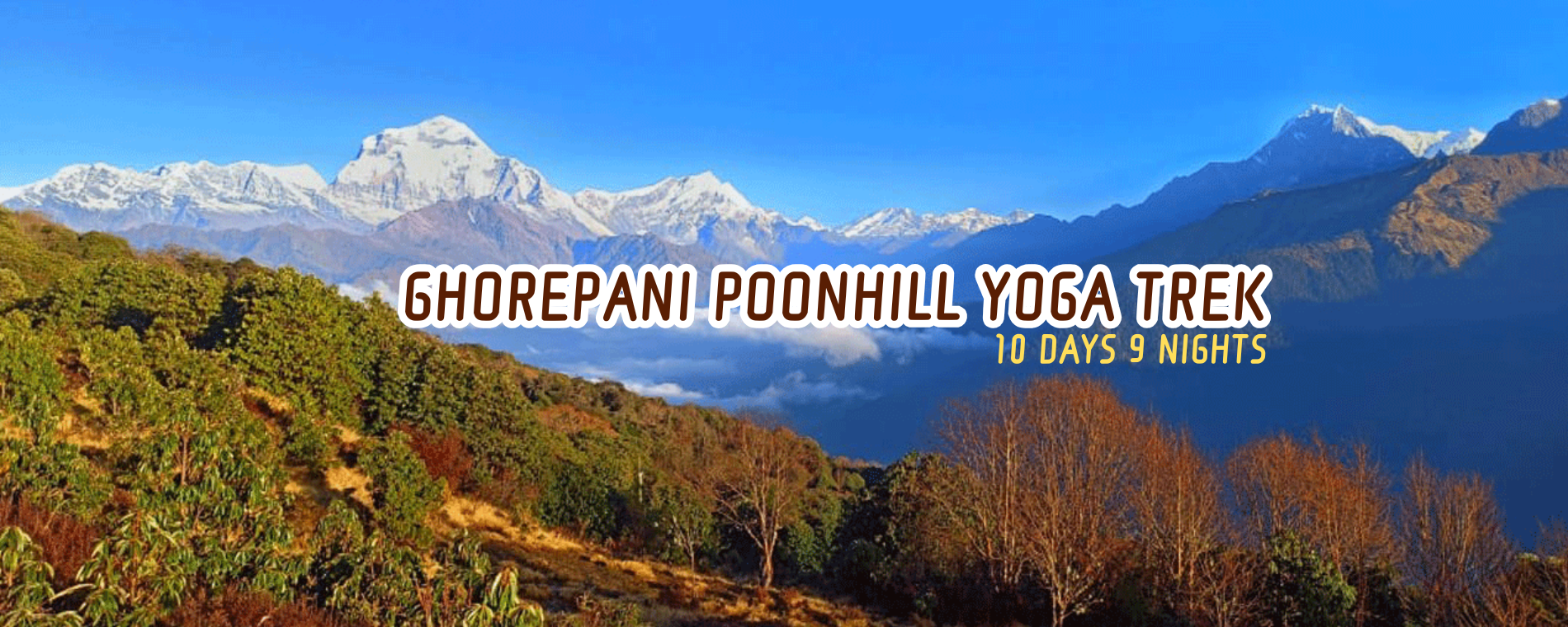 Yoga school courses in nepal