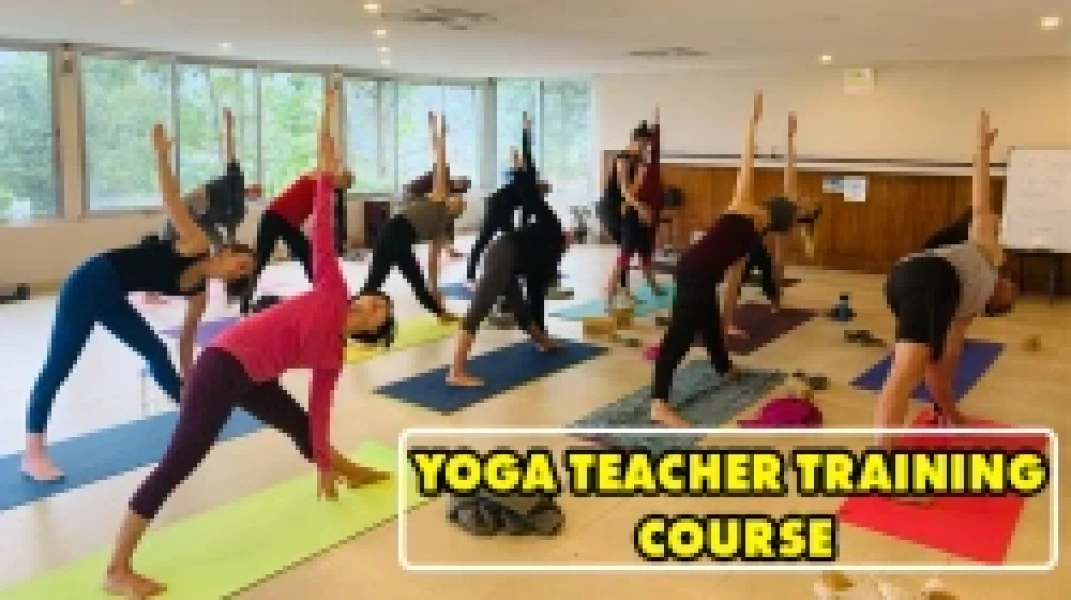 Why To Do A Yoga Teacher Training Course?