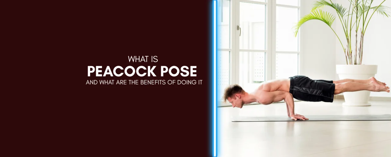 Peacock Pose (Mayurasana): Benefits, Steps, and Tips for All Levels