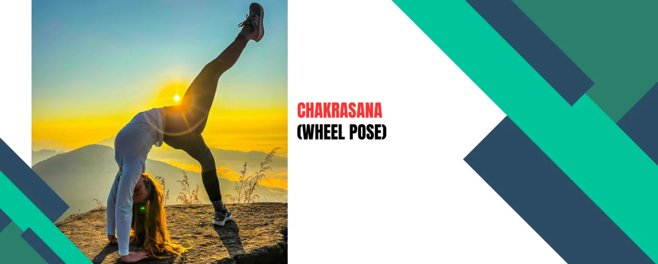 Chakrasana or Wheel Pose: Benefits, Steps, Alignment and Safety Tips