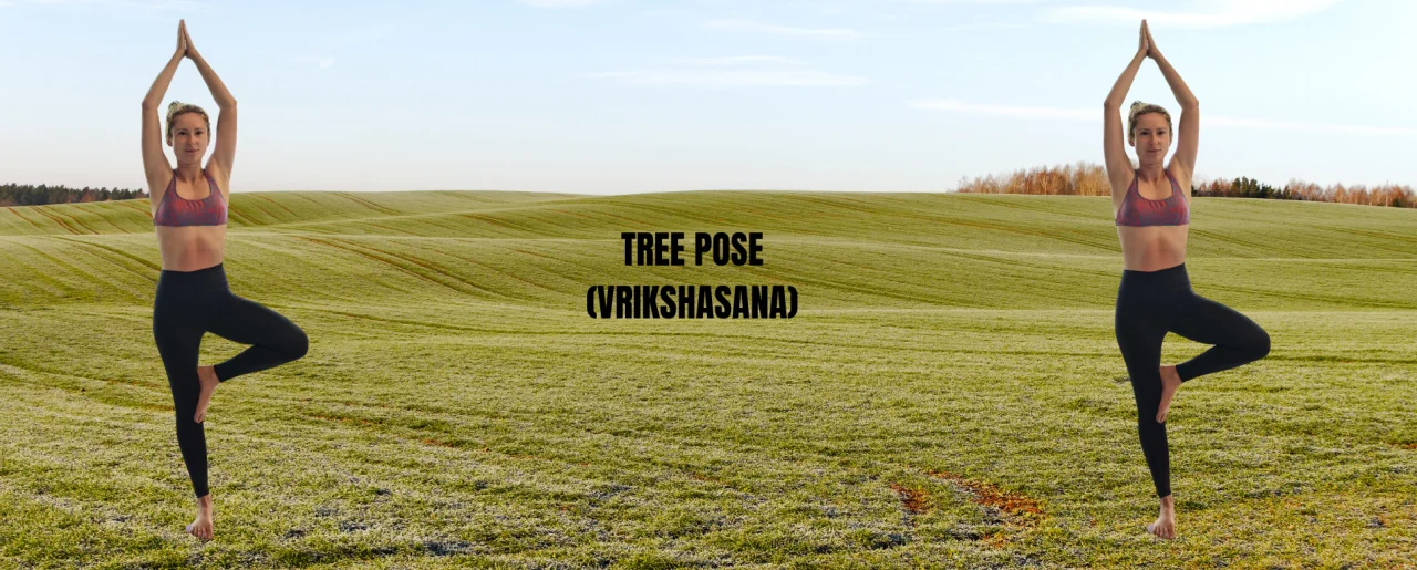 Tree Pose (Vrikshasana): Benefits, Steps, Alignment & Beginner’s Guide