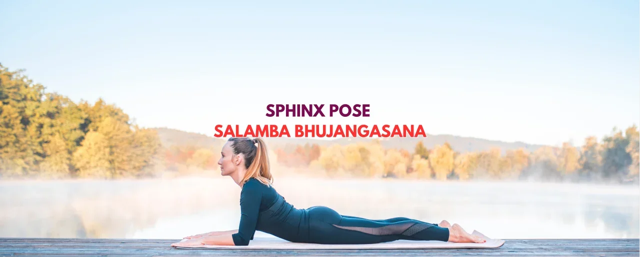Sphinx Pose (Salamba Bhujangasana): Benefits, Steps, Alignment & Precautions