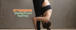 Yoga school in nepal
