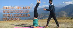 Daily Life and Structure of Yoga Teacher Training