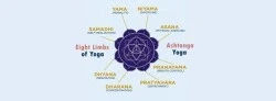 What are the limbs of Yoga?