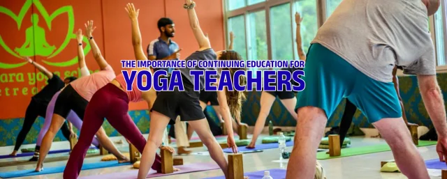 The Importance of Continuing Education for Yoga Teachers