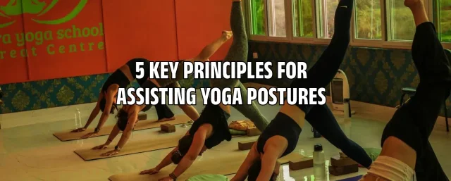 5 Key Principles for Assisting Yoga Posture