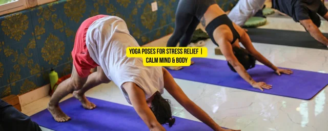 Yoga Poses for Stress Relief: Calm Your Mind and Body Naturally